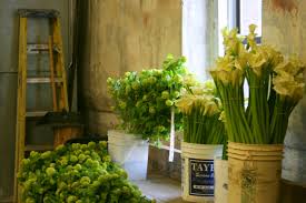 Georgetown flower shops and florists wholesale rate. Seattle Wholesale Flower Growers Market Rosemary S Blog