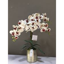 Large orchid arrangement for centerpiece. Gubahan Bunga Orkid Hiasan Latex 3d