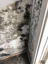 Smelly aircon problem fixed by iaircon.sg. Black Mold Under My Sink Is It Dangerous See What You Should Do