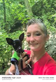 Building trust with your dog