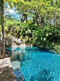 Natural Swimming Pool Michigan Schwimmbad Designs Im Freien Luxusschwimmbader