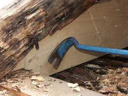 Image result for site:byggahus.se isolering vind ekofiber