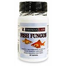 Thomas Labs Fish Fungus Ketoconazole 200mg Antifungal Medication Fungi Aquarium Water Treatments