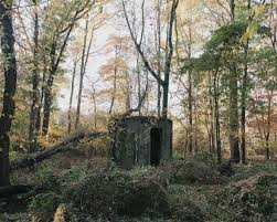 This week's Halloween edition of my newsletter explores one of NYC's most  notorious ruins: the New York Farm Colon and the story of Staten Island's  real-life boogeyman, Andre Rand—a former custodian at