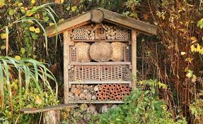 Pin Auf Insektenhotel Bauen