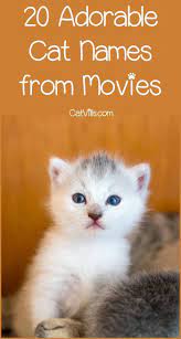 He was a trusted king arthur's movie. 20 Sweet Cat Names From Movies To Inspire You Kitten Names Unique Girl Cat Names Kitten Names