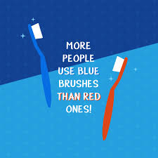 The statue of liberty's mouth is 3 feet wide. Dental Trivia More People Use Blue Toothbrushes Than Red Ones What Color Is Yours Dental Fun Facts Dental Fun Dental Braces