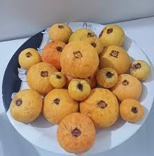 Profile for Nandha Garden