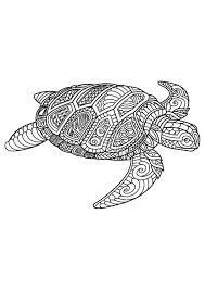 Animal Coloring Pages Pdf Turtle Coloring Pages Animal Coloring Pages Horse Coloring Pages