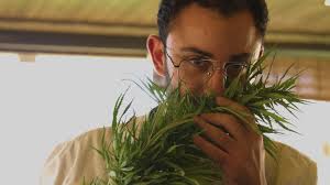 Behind the Scenes of VICEs New Documentary on Legalizing Weed in Lebanon