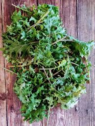 Roll up the kale leaves. Sauteed Kale With Garlic Lemon Easy Healthy Recipes Mamazilla