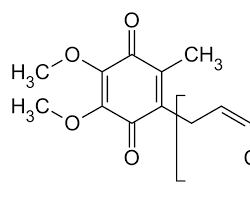 Coenzyme Q10 (CoQ10) molecule