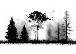 Pin On Sketches