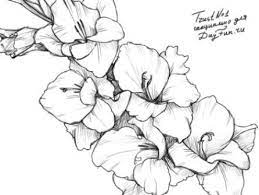 We did not find results for: 125 Best Flower Tattoos Tattoo Ideas In 2021 Flower Drawing Gladiolus Flower Tattoos Flower Tattoo Sleeve