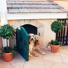 16 Fun Functional Doghouses Maison Pour Chien Animaux Chien