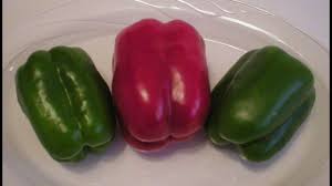 Well loved pepper variety back by popular demand. How To Pick A Sweeter Green Bell Pepper Youtube