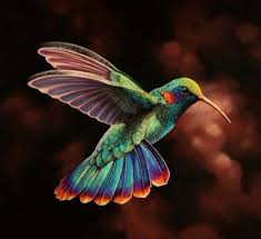 hummingbird pics for my tattoo pretty birds colorful birds beautiful birds