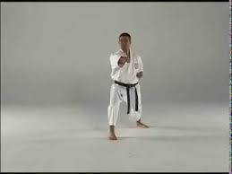 We did not find results for: 1st Kata Taigyoku Shodan Youtube
