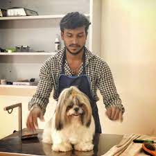 ✅ how much does it. Check Out These Top Pet Stores In The City Lbb Bangalore