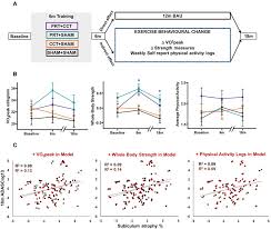 Image result for training effect schema
