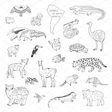 Click the download button to view the full image of grassland coloring pages. Animals Of South America American Animals Animal Coloring Pages Native American Spirit Animals