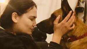 Fundraiser by James Regan : Jager Needs Help and Seamus Needs Help.