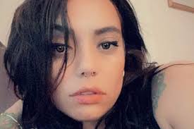 Fundraiser by Amy AmyDeBona : Help send Sully home