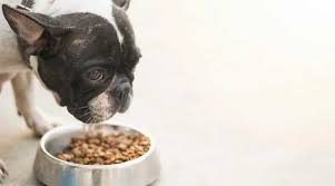 Here the top 5 options of 2021 rated & reviewed! Best Dog Foods For French Bulldogs Puppies Adults Seniors