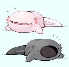 600x873 axolotl line drawing by kamazotz. Have A Nice Day Cute Art Cute Animal Drawings Kawaii Art