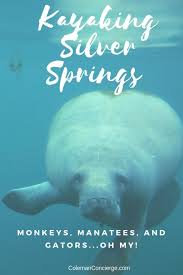 The hiking trails are well marked, pick up a trail map at the ranger station. Kayaking Silver Springs Monkeys Manatees And Gators Oh My