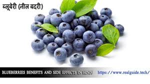 pics Cranberry Blackberry Fruit In Hindi