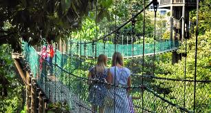 It covers an area of approximately 11 hectares and is the only remaining tropical rainforest in the heart of the city of kuala lumpur. Kl Forest Eco Park Kuala Lumpur How To Reach Best Time Tips