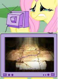 , shīzā antonio tseperi) is a primary ally featured in the second part of the jojo's bizarre adventure series, battle tendency. Fluttershy Crying For Caesar Zeppeli Death By Brandonale On Deviantart