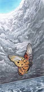 Check spelling or type a new query. Butterflies And Hurricanes By Rgibson Fur Affinity Dot Net