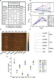 Diverse Field Isolates Of Mycobacterium Tuberculosis Exhibit