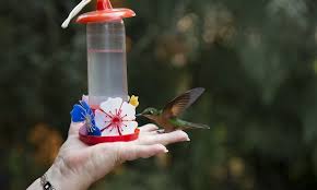 That's why our favorite feeders are the saucer style ones made by aspects in warren, rhode island, only 120 miles from the fat robin! Can You Put A Hummingbird Feeder On A Table