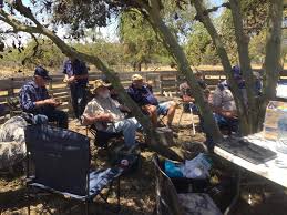 Wil jij een supergave eetkamerstoel kopen? Obali Skiet 9 Nov 2019 Kaapjag Sentraal Cape Hunt Central