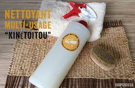 Nettoyant Multi Usage Maison Facile Nettoyant Multi Usage Nettoyant Savon De Castille