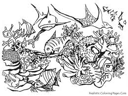 You will need a pdf reader to view these files. Ocean Sunset Coloring Pages Ocean Coloring Pages Animal Coloring Pages Zoo Animal Coloring Pages