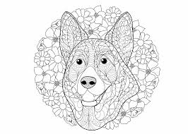 Kleurplaat hond 64 gratis allerleukste honden kleurplaten. Puppy Schattige Dieren Kleurplaten Moeilijk Coloring And Drawing