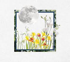 Check spelling or type a new query. Moon Gardens Are The Dreamy Landscaping Options You May Have Never Heard Of