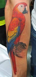 Natalie was super friendly and professional and did an amazing job!!! Parrot Tattoos And Designs Parrot Tattoo Meanings And Ideas Hubpages