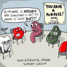Read up on our funny jokes about life. 7 Best Medical Jokes Ideas Medical Jokes Bones Funny Medical