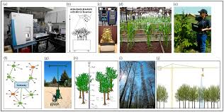 Eagle pest control hours and eagle pest control locations along with phone number and map with driving directions. Remote Sensing Free Full Text Understanding Forest Health With Remote Sensing Part Ii A Review Of Approaches And Data Models Html