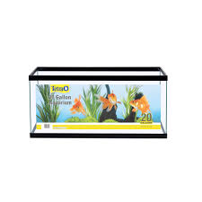 A fish tank should be at the top of your list. Tetra Aquarium 20 Gallon Fish Aquariums Petsmart