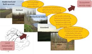 I learned a lot about the owner and the company's background. Mapping Ecosystem Services