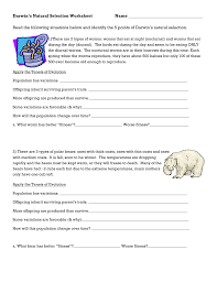 5 keys to darwin's theory of natural selection. Natural Seclection Darwin S Five Points Worksheet Printable Worksheets And Activities For Teachers Parents Tutors And Homeschool Families