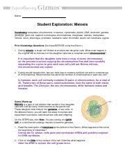 Some of the worksheets for this concept are student exploration cell division gizmo answers, explore learning student exploration stoichiometry answer key, activity b get the gizmo ready charles t m, epub. Ac Lab10 Parttwo Meiosis Bkelso Pdf Name Student Exploration Meiosis Vocabulary Anaphase Chromosome Crossover Cytokinesis Diploid Dna Dominant Gamete Course Hero