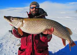 Pike Fishing Guide in Colorado