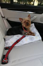 Robot Check Dog Seat Belt Pet Seat Belt Pet Leashes